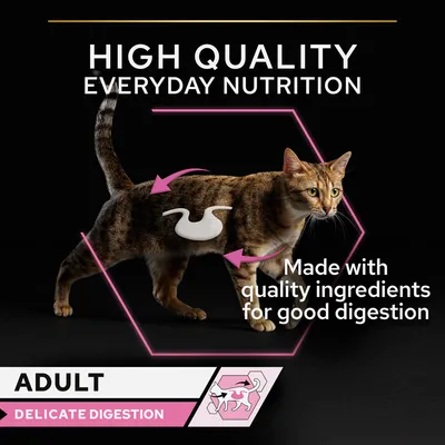 HIGH QUALITY EVERYDAY NUTRITION, Made with quality ingredients for good digestion, ADULT, DELICATE DIGESTION feliratok, macska emésztőrendszer grafikával. Angol nyelvű szöveg.