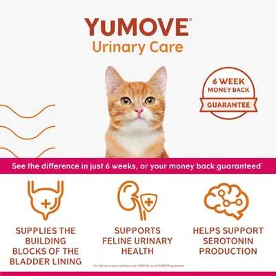 YuMOVE Urinary Care. Six week money back guarantee. Supplies building blocks of the bladder lining, supports feline urinary health, helps support serotonin production.