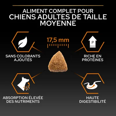 Aliment complet pour chiens adultes de taille moyenne, croquette 17,5 mm, sans colorants ajoutés, riche en protéines, absorption élevée des nutriments, haute digestibilité.