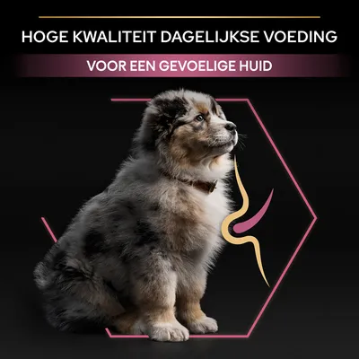 Hoge kwaliteit dagelijkse voeding voor een gevoelige huid