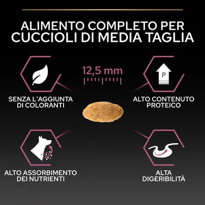 Alimento completo per cuccioli di media taglia, crocchetta 12,5 mm. Senza l'aggiunta di coloranti, alto contenuto proteico, alto assorbimento dei nutrienti, alta digeribilità.