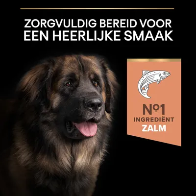 Zorgvuldig bereid voor een heerlijke smaak. Nº1 ingrediënt zalm.