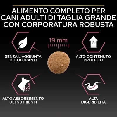 Alimento completo per cani adulti di taglia grande con corporatura robusta, crocchetta 19 mm, senza l'aggiunta di coloranti, alto contenuto proteico, alto assorbimento dei nutrienti, alta digeribilità.
