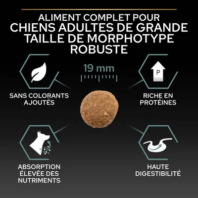 Aliment complet pour chiens adultes de grande taille morphotype robuste, croquette 19 mm, sans colorants ajoutés, riche en protéines, absorption élevée des nutriments, haute digestibilité.