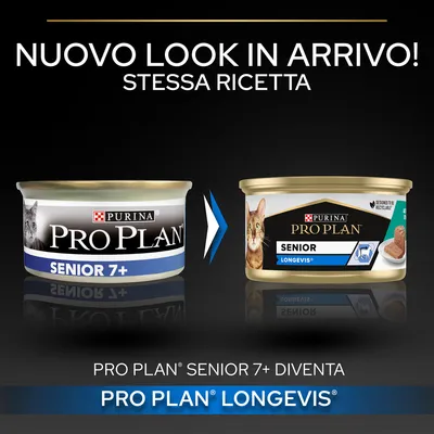 Nuovo look in arrivo! Stessa ricetta. Pro Plan Senior 7+ diventa Pro Plan Longevity. Immagine di due confezioni Purina Pro Plan per gatti senior.