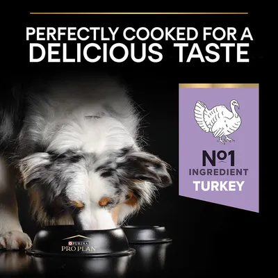 Text: 'PERFECTLY COOKED FOR A DELICIOUS TASTE', 'No1 ingredient TURKEY'. Hund äter ur skål med Purina Pro Plan-logotyp. Text på engelska.