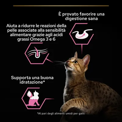È provato favorire una digestione sana. Aiuta a ridurre le reazioni della pelle grazie agli acidi grassi Omega 3 e 6. Supporta una buona idratazione. Gatto marrone in primo piano.