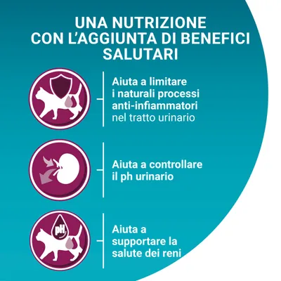 Una nutrizione con l’aggiunta di benefici salutari: aiuta a limitare i naturali processi anti-infiammatori nel tratto urinario, controllare il pH urinario e supportare la salute dei reni.