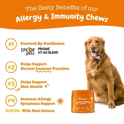 Allergy and immunity chews benefits: powered by postbiotics, supports normal immune function, helps skin health, seasonal allergy symptom support, with real salmon. Product tub shown.