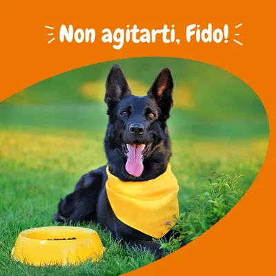 Zesty Paws Calming Chews Tacchino