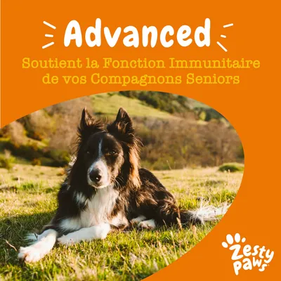 Advanced. Soutient la Fonction Immunitaire de vos Compagnons Seniors. Zesty Paws