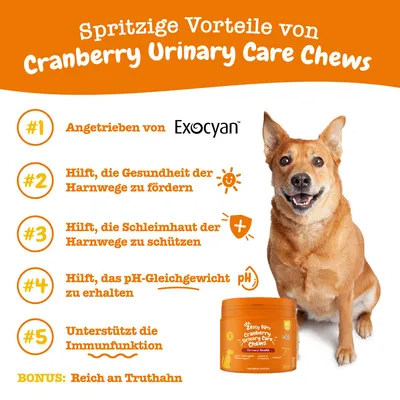 Besedilo v nemščini: Spritzige Vorteile von Cranberry Urinary Care Chews. 5 koristi, vključno z Exocyan, zdravje in zaščita sečil, pH ravnovesje, imunska funkcija. Bonus: bogato s puranom.