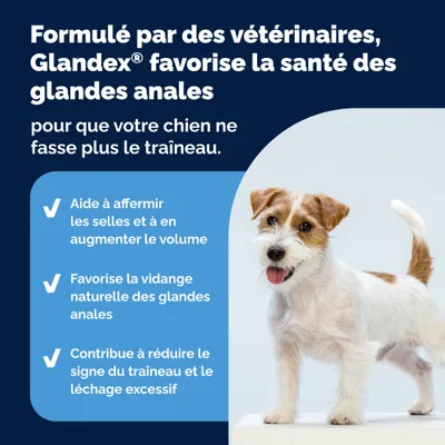 Glandex Friandises à mâcher pour les glandes anales Glandex Friandises à mâcher pour les glandes anales