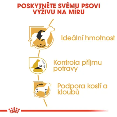 Poskytněte svému psovi výživu na míru: Ideální hmotnost, kontrola příjmu potravy, podpora kostí a kloubů. Ilustrace psa s ikonami funkcí.