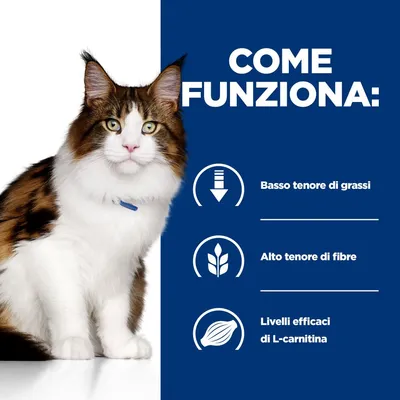 Testo: Come funziona. Basso tenore di grassi, alto tenore di fibre, livelli efficaci di L-carnitina. Gatto a pelo lungo seduto accanto alle informazioni.