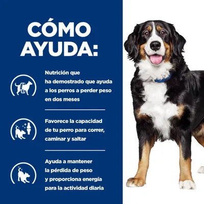 CÓMO AYUDA: Nutrición que ha demostrado que ayuda a los perros a perder peso en dos meses. Favorece la capacidad de tu perro para correr, caminar y saltar. Ayuda a mantener la pérdida de peso.