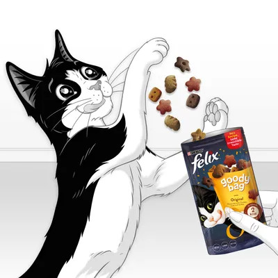 Illustration of treats being poured from a Felix Goody Bag Original pack, showing treat shapes and highlighting '2 kcal' per treat and 'new recipe irresistible taste'.