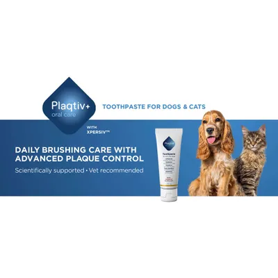 Plaqitv+ oral care tandpasta til katte og hunde med XPERSIV-teknologi. Daglig tandpleje med avanceret plak-kontrol, videnskabeligt dokumenteret og anbefalet af dyrlæger. Plaqitv+ oral care tandpasta til katte og hunde med XPERSIV-teknologi. Daglig tandpleje med avanceret plak-kontrol, videnskabeligt dokumenteret og anbefalet af dyrlæger.