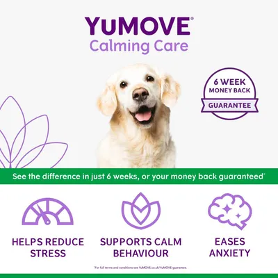 YuMOVE Calming Care. Six week money back guarantee. Helps reduce stress, supports calm behaviour, eases anxiety. See the difference in just six weeks or your money back guaranteed.