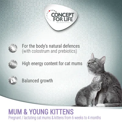 Key features: supports natural defences with colostrum and prebiotics, high energy content for cat mums, balanced growth. For pregnant or lactating cat mums and kittens aged 6 weeks to 4 months.
