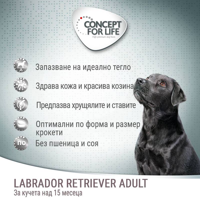 Concept for Life Labrador Retriever Adult
