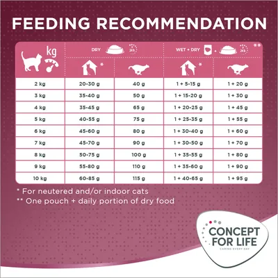 Feeding recommendation chart showing daily dry and wet food portions by cat weight, with notes for neutered or indoor cats and combined pouch plus dry food options.