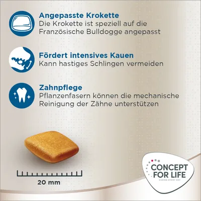 Angepasste Krokette für Französische Bulldogge, fördert intensives Kauen und Zahnpflege. Pflanzenfasern unterstützen mechanische Reinigung der Zähne. Grösse: 20 mm. Concept for Life Logo sichtbar.