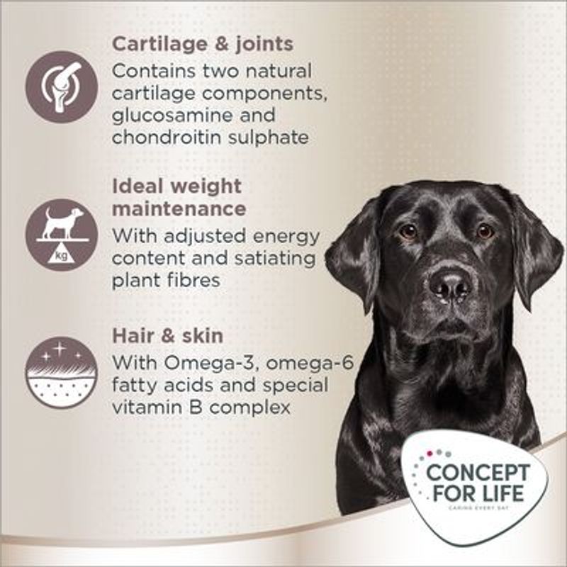 Concept for Life Labrador Retriever Adult