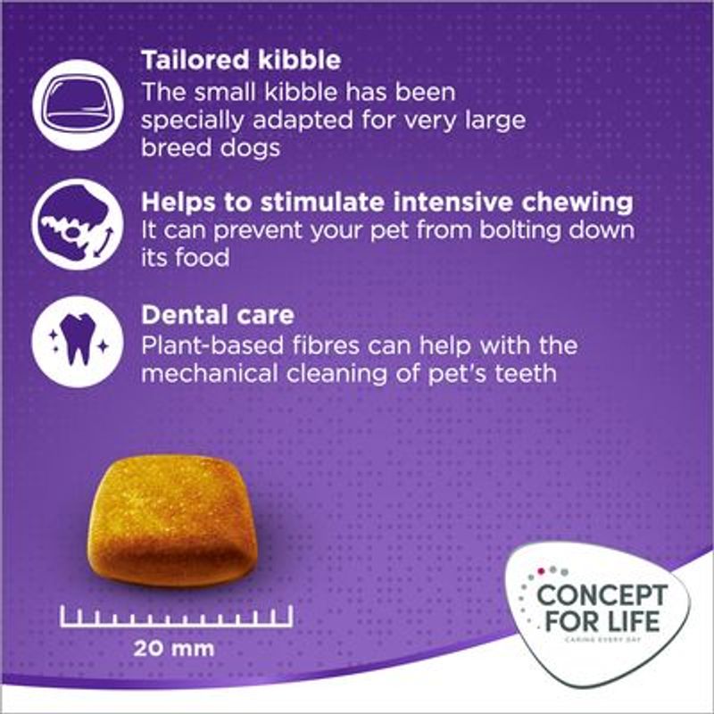 Concept for Life X-Large Adult