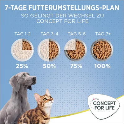 7-Tage Futterumstellungs-Plan: Wechsel zu Concept for Life. Tag 1-2: 25%, Tag 3-4: 50%, Tag 5-6: 75%, Tag 7+: 100%. Hund und Katze abgebildet. Concept for Life Logo unten rechts.