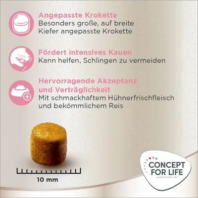 Angepasste Krokette, fördert intensives Kauen, hervorragende Akzeptanz und Verträglichkeit. Mit Hühnerfrischfleisch, Reis. Krokettengrösse: 10 mm. Concept for Life Logo sichtbar.