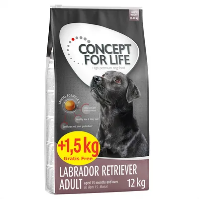 Dog food for adult Labrador Retriever, 12kg plus 1.5kg free. Special formula for ideal weight maintenance, healthy skin and shiny coat, cartilage and joint protection.