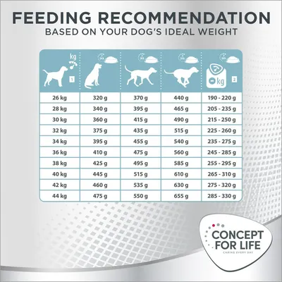 Concept for Life Large Light