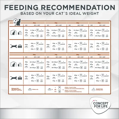 Feeding recommendation chart showing daily dry and wet food amounts based on cat’s ideal weight from 2kg to 9kg, with icons for kibble, pouches, cans, and water reminder.