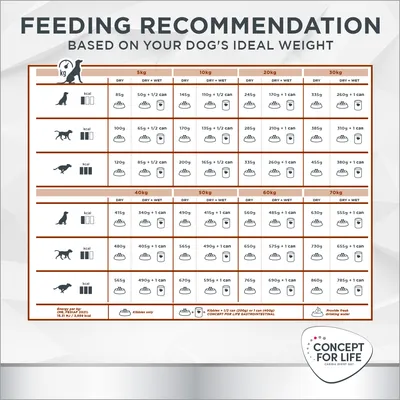 Feeding recommendation chart showing daily dry and wet food amounts for dogs of various weights and sizes, with icons for kibble, cans, and water. Includes energy values per weight.