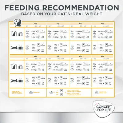 Feeding recommendation chart showing daily dry, wet, or mixed food amounts based on cat’s ideal weight from 2kg to 9kg. Includes portion sizes in grams, pouches, cans, and energy values.