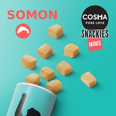 COSMA PURE LOVE SNACKIES MINIS, somon. Cuburi mici de snackuri ieșind dintr-un recipient turcoaz, text vizibil: SOMON, COSMA PURE LOVE SNACKIES MINIS.