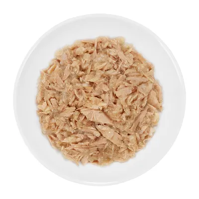Assiette blanche contenant de la nourriture humide pour animaux, morceaux de viande ou poisson effilochés dans une gelée claire, sans marque visible ni emballage.