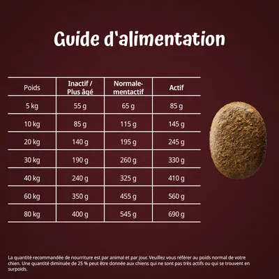 Guide d’alimentation pour chiens selon poids : 5 à 80 kg, quantités de 55 à 690 g/jour selon activité (inactif, normal, actif). Tableau détaillé visible sur l’image.