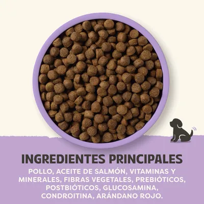 Ingredientes principales: pollo, aceite de salmón, vitaminas y minerales, fibras vegetales, prebióticos, postbióticos, glucosamina, condroitina, arándano rojo.