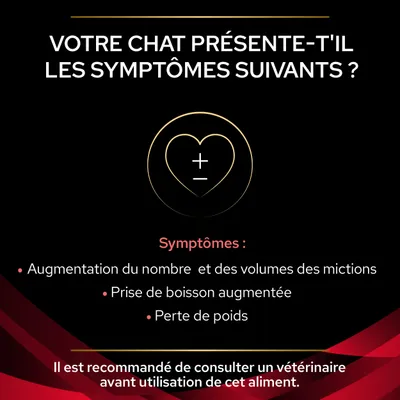 Votre chat présente-t-il les symptômes suivants ? Augmentation du nombre et des volumes des mictions, prise de boisson augmentée, perte de poids. Consultez un vétérinaire avant utilisation.