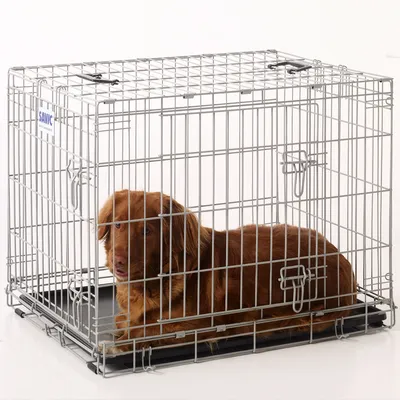 Wire pet crate with a brown animal lying inside, showing the size and use of the crate for secure containment.