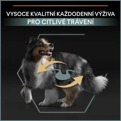 Text v češtine: VYSOCE KVALITNÍ KAŽDODENNÍ VÝŽIVA PRO CITLIVÉ TRÁVENÍ, obrázok psa s grafickým znázornením trávenia na tele.