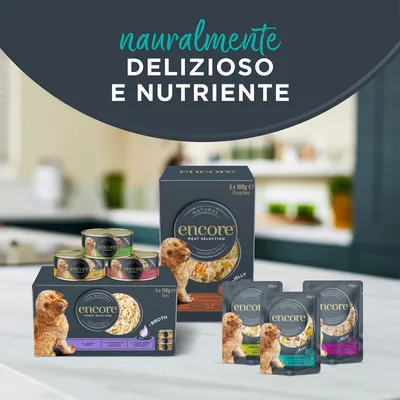 Provalo! Set misto Encore Pâté Fresh Selection Alimento umido per cani
