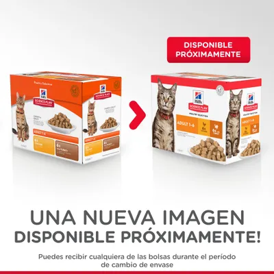 Hill's Science Plan Adult 1-6 Poultry Selection para gatos, cajas con 6x pollo y 6x pavo. Disponible próximamente. Puede recibirse cualquiera de los envases durante el cambio.