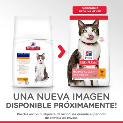 Dos envases de Hill's Science Plan Mature Adult 7+ Light para gatos, uno con diseño antiguo y otro nuevo. Texto: 'Disponible próximamente'. Puede recibirse cualquiera durante el cambio.