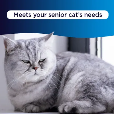 Ever Clean® Senior Cat Clumping Cat Litter - Scented