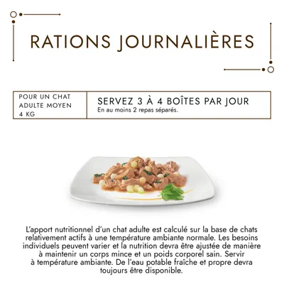 Conseils d’alimentation : pour un chat adulte moyen 4 kg, servez 3 à 4 boîtes par jour en au moins 2 repas séparés. Photo d’une assiette de nourriture humide pour chat.