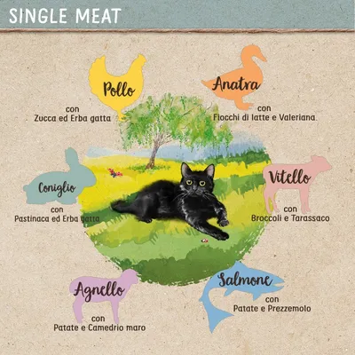Pollo con zucca ed erba gatta, anatra con fiocchi di latte e valeriana, vitello con broccoli e tarassaco, salmone con patate e prezzemolo, agnello con patate e camedrio maro, coniglio con pastinaca ed erba gatta. Testo: SINGLE MEAT.