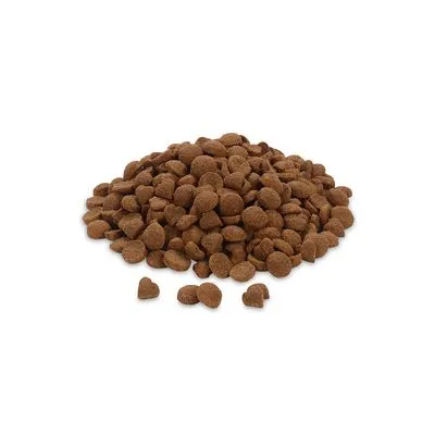 Feringa Adult Duo Kip met Lam